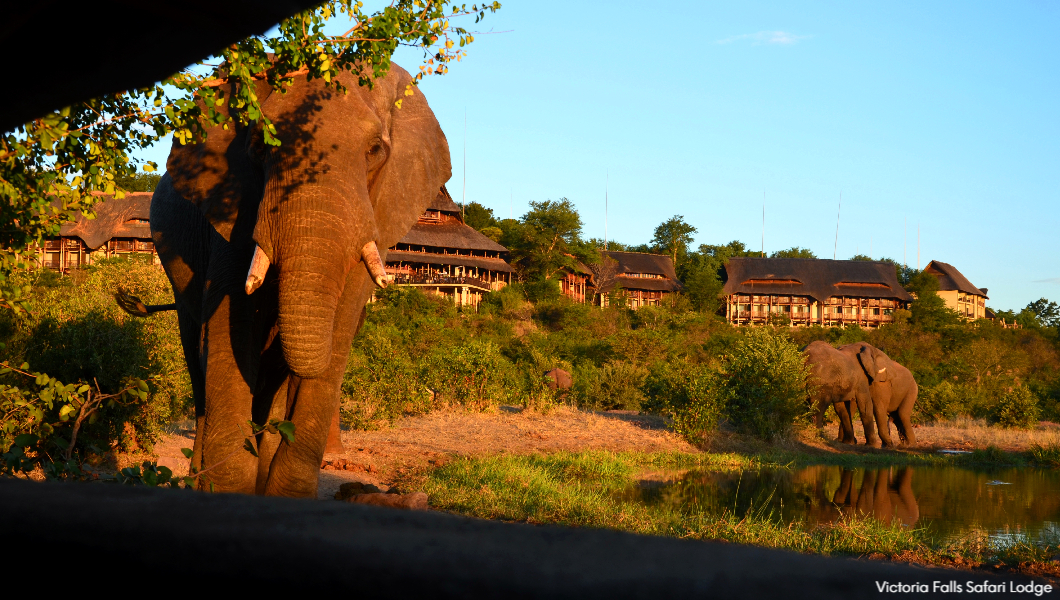 VFSL Lodge exterior